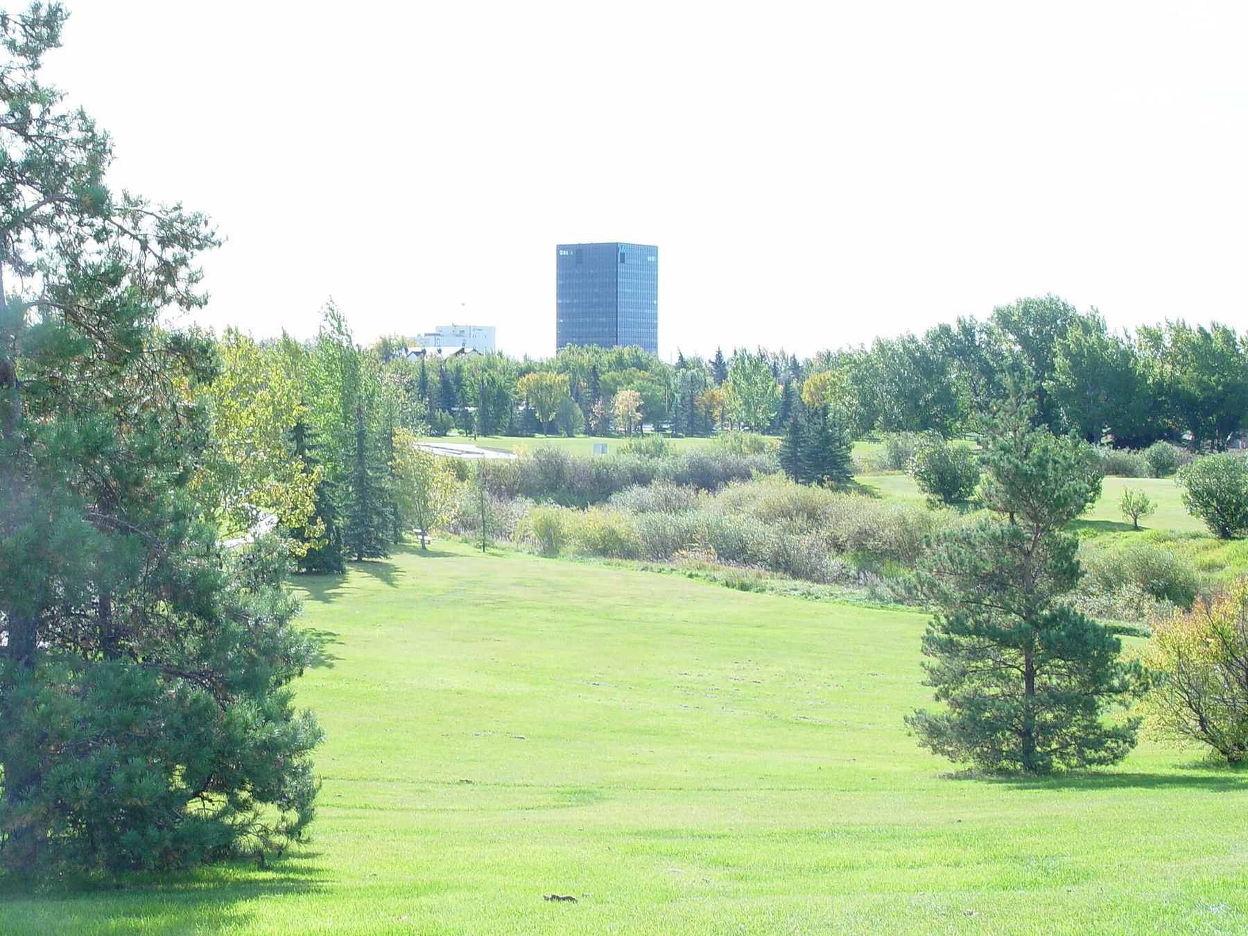 Downtown Grande Prairie seen across Muskoseepi Park